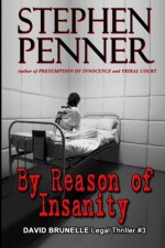 By Reason of Insanity: David Brunelle Legal Thriller #3 - Stephen Penner