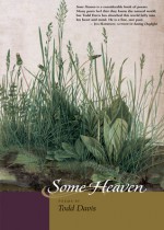 Some Heaven - Todd F. Davis