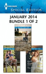 Harlequin Special Edition January 2014 - Bundle 1 of 2: Happy New Year, Baby Fortune!It Began with a CrushReid's Runaway Bride - Leanne Banks, Lilian Darcy, Tracy Madison