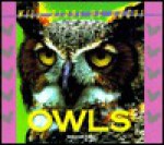 Wild Birds of Prey - Owls (Wild Birds of Prey) - Deborah Kops