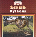 Scrub Pythons - Valerie J. Weber