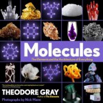 Molecules: The Elements and the Architecture of Everything - Theodore Gray, Nick Mann