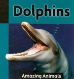 Dolphins - James De Medeiros, Terry Paulhus