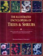 The Illustrated Encyclopedia of Trees and Shrubs - Allen J. Coombes