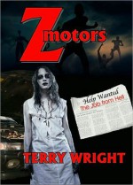 Z-Motors - Terry Wright