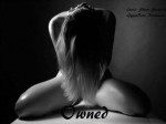 Owned - Donna Hall