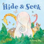 Hide and Seek - Il Sung Na