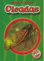 Cicadas - Colleen Sexton