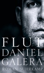 Flut: Roman (German Edition) - Daniel Galera, Nicolai Schweder-Schreiner