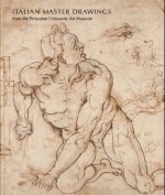 Italian Master Drawings from the Princeton University Art Museum - Laura M. Giles, Claire Van Cleave, Lia Markey