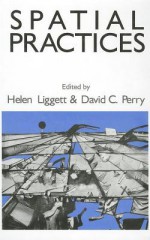 Spatial Practices: Critical Explorations in Social/Spatial Theory - David C. Perry, David Perry