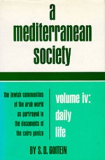 A Mediterranean Society: The Jewish Communities of the Arab World as Portrayed in the Documents of the Cairo Geniza, Vol. IV: Daily Life - S.D. Goitein, Paula Sanders