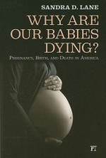 Why Are Our Babies Dying?: Pregnancy, Birth, and Death in America - Sandra Lane