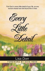 Every Little Detail: Find God in Every Little Detail of Your Life, as One Woman Shares How She Found Him in Hers - Lisa Dorr, Dave Hess