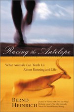 Racing the Antelope: What Animals Can Teach Us About Running and Life - Bernd Heinrich