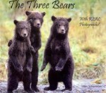 The Three Bears With REAL Photographs - John Schwieder, Cindy Kumle, Susan Mitchell