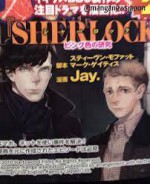 Sherlock (Book 1) - Mark Gatiss, Steven Moffat, Jay.