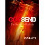 Godsend 2: The search for Rochelle - Kevin Elliott