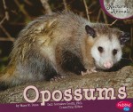 Opossums - Mary R. Dunn, Gail Saunders-Smith