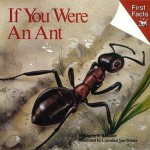 If You Were an Ant - S. J. Calder, Bonnie Brook, Cornelius Van Wright