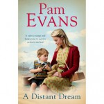 A Distant Dream - Pamela Evans