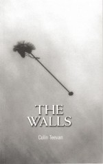 Walls - Colin Teevan