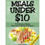 Meals Under $10 - 51 Delicious Meals That Won't Break The Bank - Joan Johnson