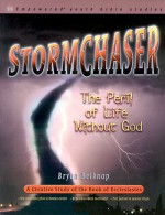 Stormchaser: The Peril of Life Without God - Bryan Belknap, Dale Reeves, Leslie Durden