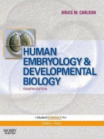 Human Embryology and Developmental Biology: with STUDENT CONSULT Online Access - Bruce M. Carlson