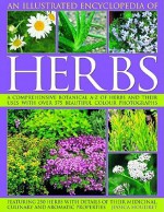 An Illustrated Encyclopedia of Herbs: A comprehensive A-Z of herbs and their uses with 700 color photographs - Jessica Houdret