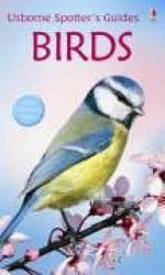 Birds (Usborne Spotter's Guide) - Peter Holden