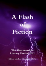 A Flash of Fiction - Lindsay Stanberry-Flynn