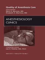 Quality of Anesthesia Care, an Issue of Anesthesiology Clinics - Mark Neuman, Elizabeth Martínez