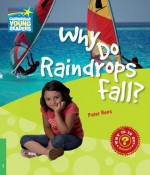 Why Do Raindrops Fall? Level 3 Factbook - Peter Rees, Rees