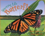 Starting Life: Butterfly - Claire Llewellyn