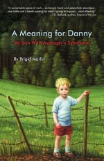A Meaning for Danny - Brigid Marlin