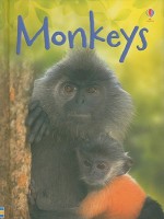 Monkeys - Lucy Bowman