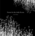 Poems For The Little Room - G. Michael Vasey