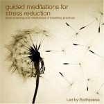 Guided Meditations for Stress Reduction - Bodhipaksa