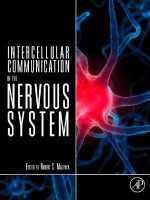 Intercellular Communication in the Nervous System - El Touhky, Robert Malenka