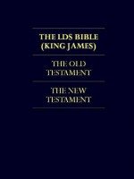 THE BIBLE - LDS Church Authorized KJV Translation (FULLY ILLUSTRATED Kindle Edition) LDS Scriptures The Bible Complete KING JAMES VERSION HOLY BIBLE Old ... KJV | Excluding The Triple Combination) - Anonymous Anonymous, Joseph Smith, Kindle LDS Bible, Latter Day Saints Texts, Church of Jesus Christ of