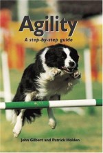 Agility: A Step By Step Guide - Patrick Holden, John Gilbert