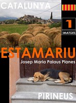 CATALUNYA: ESTAMARIU [1] (Catalan Edition) - JOSEP MARIA PALAUS PLANES, JOSEP MARIA PALAUS PLANES