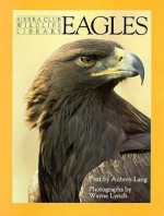 Eagles - Aubrey Lang