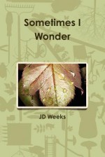 Sometimes I Wonder - J.D. Weeks