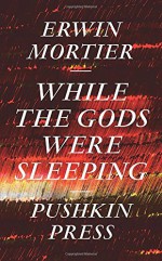 While the Gods Were Sleeping - Erwin Mortier, Paul Vincent