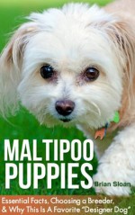 Maltipoo Puppies: Essential Facts, Choosing A Breeder, and Why This Is A Favorite "Designer Dog" - Brian Sloan