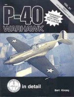 P-40 Warhawk pt 1 - Bert Kinzey