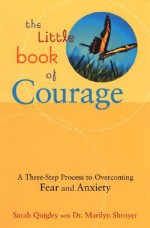 The Little Book of Courage: A Three-Step Process to Overcoming Fear and Anxiety - Sarah Quigley