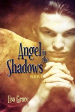 Angel In The Shadows - Lisa Grace